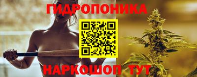 эйфоретик Обь