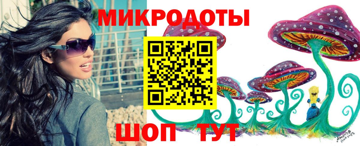 Псилоцибиновые грибы Psilocybine cubensis Славгород