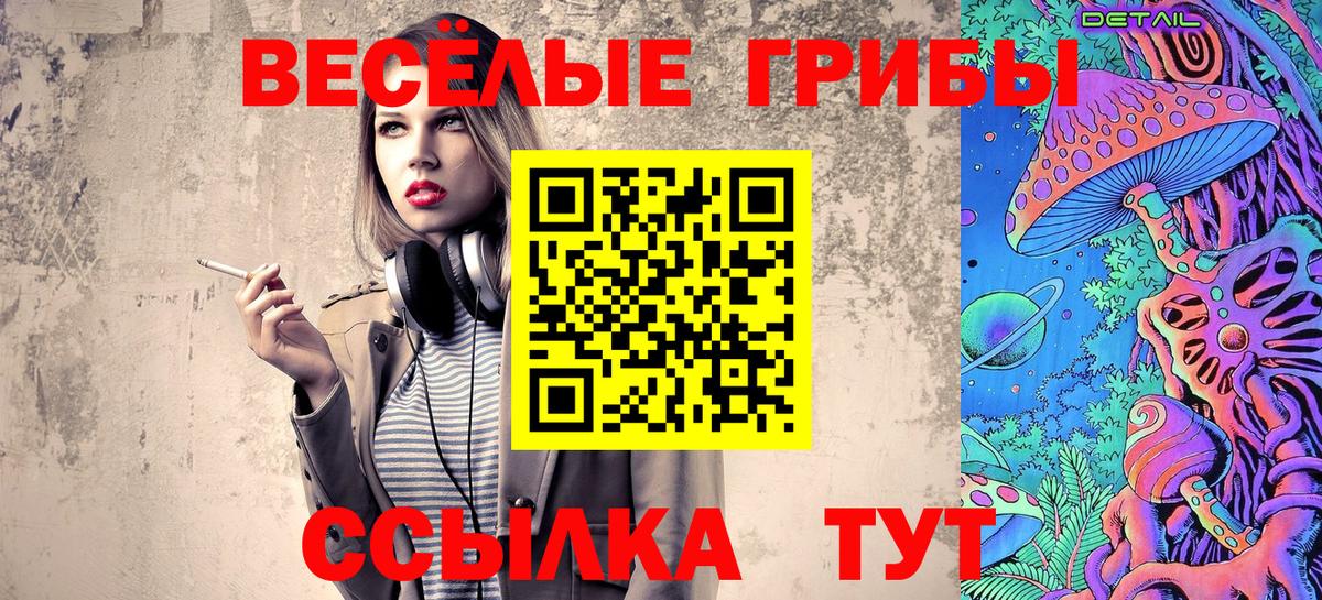 где продают   Галлюциногенные грибы мицелий  Вход с VPN  Славгород 